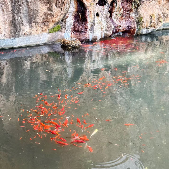 ～玄空法寺～美麗靜謐～