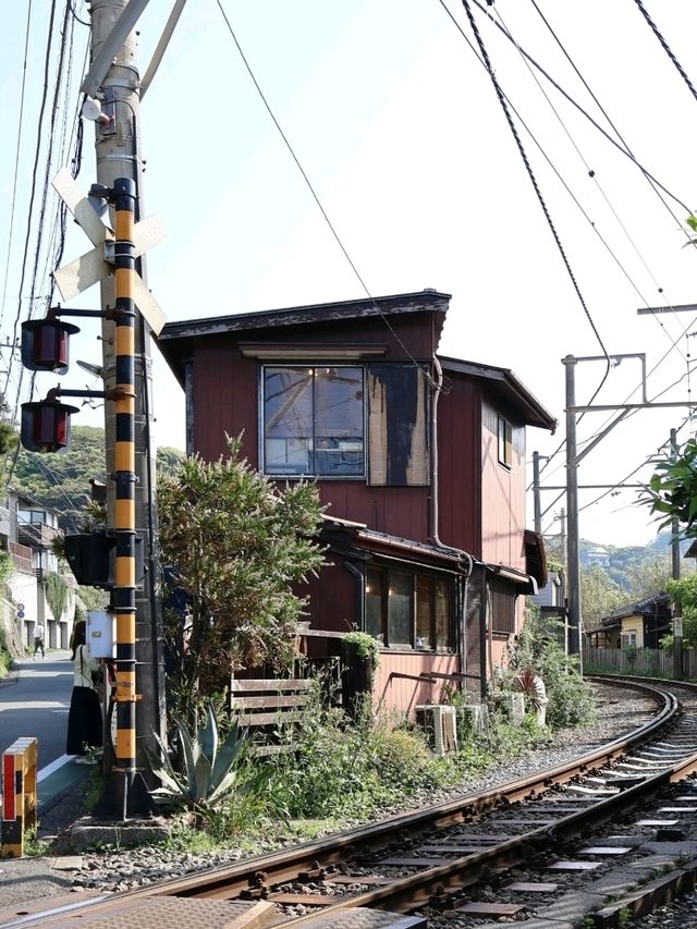 䥥倉 🚞 稻村ケ崎 Cafe Yoridocoro ヨリドコロ超級人氣👍燒魚🐟 早餐定食 🚃朝ごはん