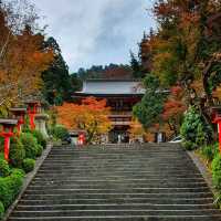 Hiking Mount Kurama: A Colorful Autumn Adventure