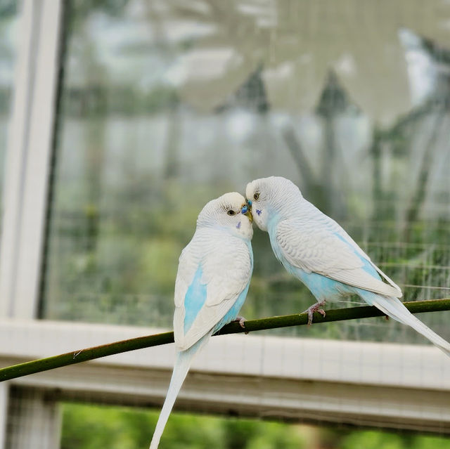 Hwajowon / Flower Bird Park