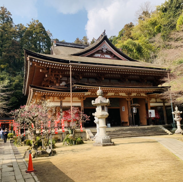 琵琶湖　竹生島