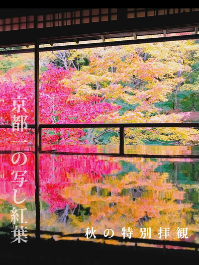 油絵・風景画　京都　瑠璃光院　紅葉 瑠璃光院 紅葉 京都 日本の風景 ポスター 選べる5サイズ