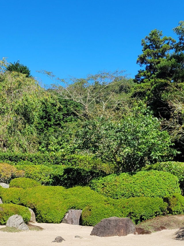 【紫陽花で知られる💐静かなお寺明月院🌕】
