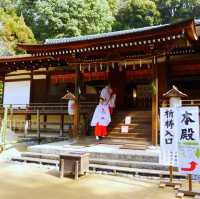 世界文化遺產～宇治上神社
