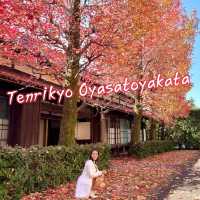 Tenrikyo Oyasatoyakata จุดถ่ายรูปใบไม้แดงญี่ปุ่น