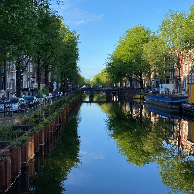 Amsterdam in Summer: A Journey Through History, Scenic Delights, and Culinary Treasures