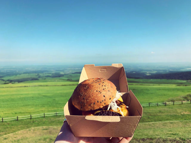 【北海道】草原のベッドでお昼寝💤日本一大きな牧場🐄