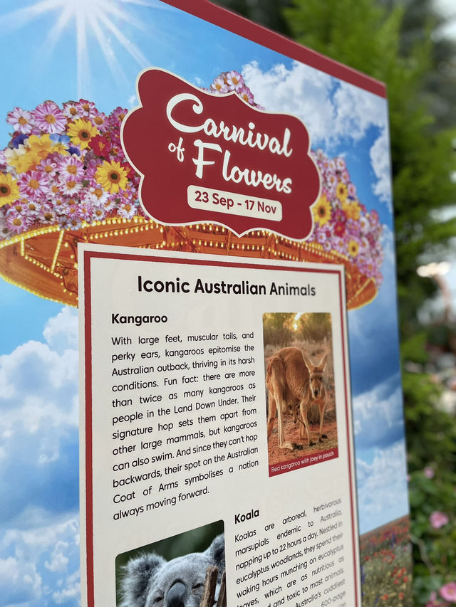 🇸🇬Join the Carnival of Flowers in Flower Dome Singapore ! 