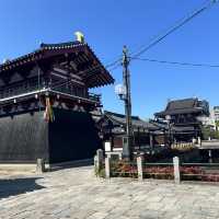 【大阪/天王寺】都会にある大きなお寺👀