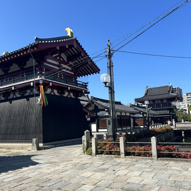 【大阪/天王寺】都会にある大きなお寺👀