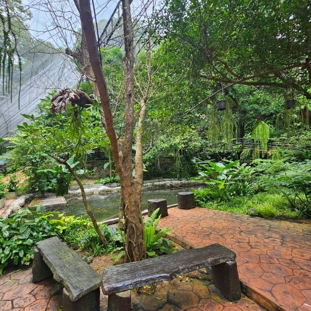 ที่เที่ยวครอบครัว   สวนสัตว์เปิดเขาเขียว  ชลบุรี