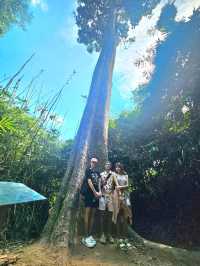 ถ้ำนาคี  เศรียรพญานาคทั้ง 9  นครพนม