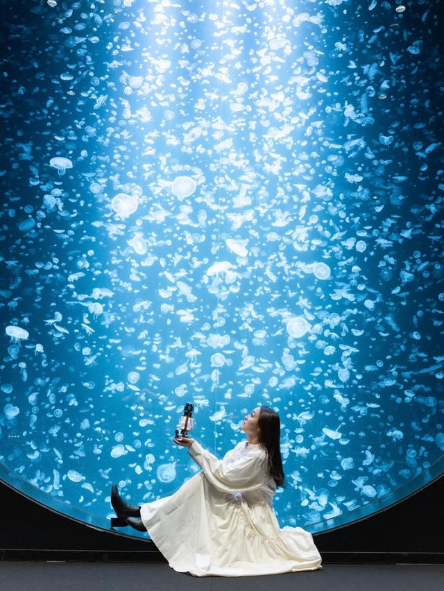 【山形】クラゲ大水槽が幻想的な水族館