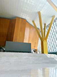 Amazing Architectural Beauty, Shenzhen Concert Hall