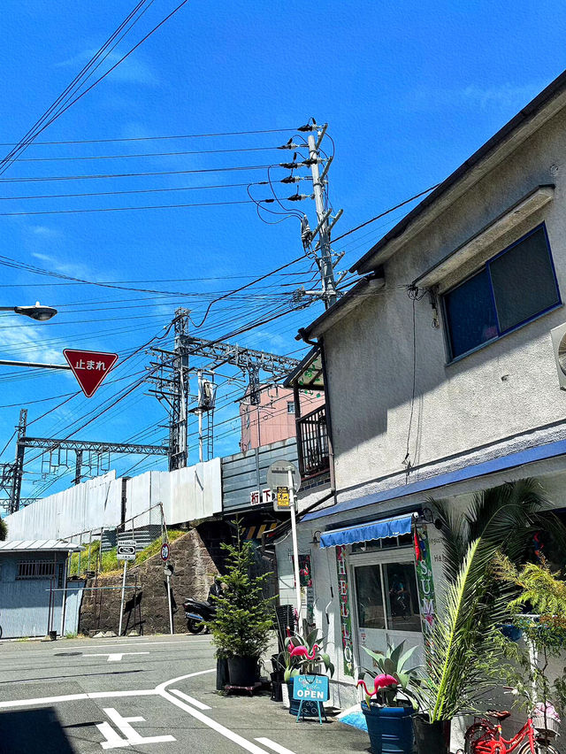 大阪澱川區：隨處可見的自然景色與都市生活的完美融合🏙️🌿