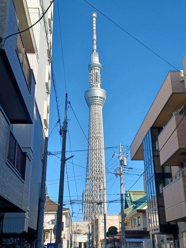 【東京スカイツリー:東京都墨田区】世界一高い自立式電波塔♪