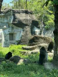 Animaland at Taipei Zoo