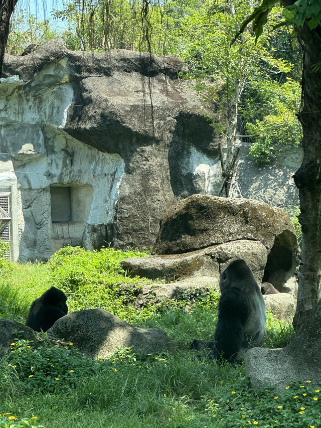 Animaland at Taipei Zoo