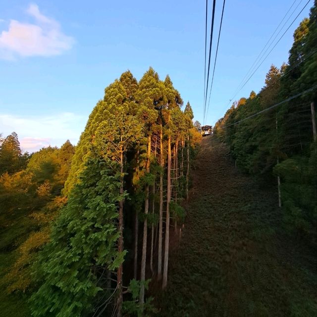 京都比叡山森林纜車，穿梭林間的美景之旅