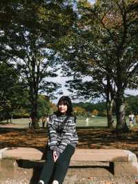 與小鹿親密接觸！奈良公園輕鬆遊記