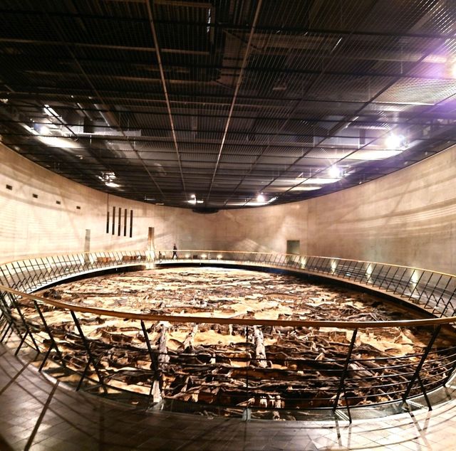 仙台景點｜全世界唯一可見冰河時期森林遺蹟博物館—地底之森博物館(仙台市富澤遺跡保存館)