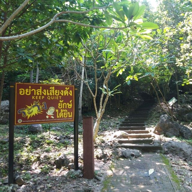 เดินป่าตามหานางพันธุรัต