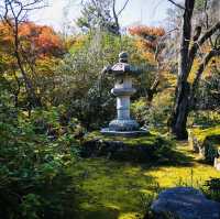 Autumn Bliss: Exploring Tenryuji’s Stunning Fall Colors!