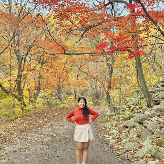Nature’s best, Seoraksan