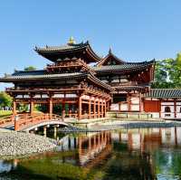 Matcha-lover town