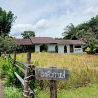 กาแฟกลางธรรมชาติ | โรงคั่วกาแฟ วังน้ำเขียว