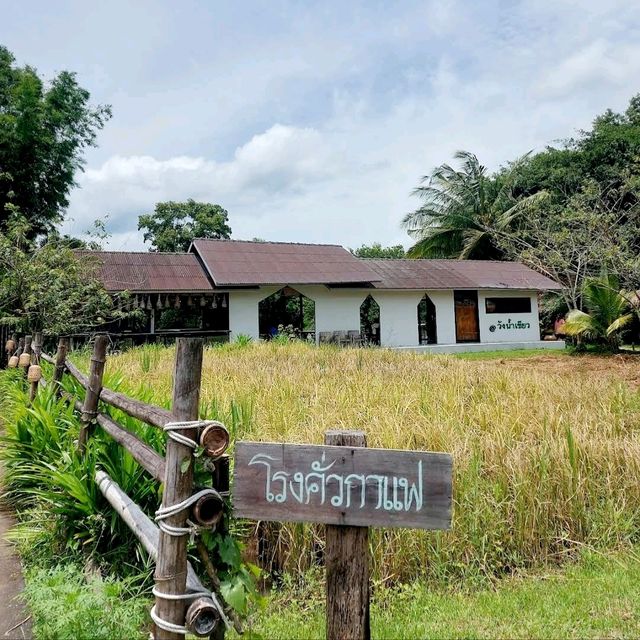 กาแฟกลางธรรมชาติ | โรงคั่วกาแฟ วังน้ำเขียว
