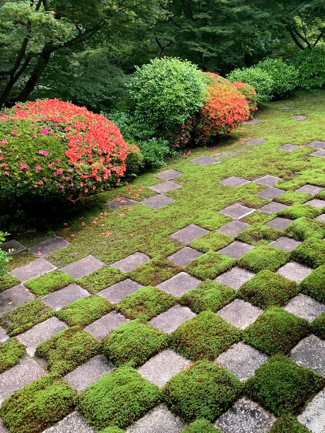 【京都】東福寺