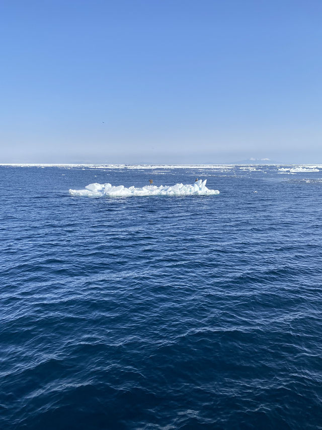 【北海道】流氷鑑賞チェックリスト