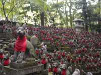 【愛知観光】妙厳寺（豊川稲荷） – 商売繁盛や金運アップのご利益で有名⛩️