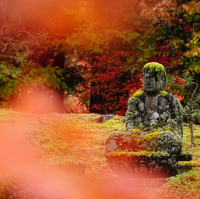 【栃木/日光】紅葉も美しい日光東照宮