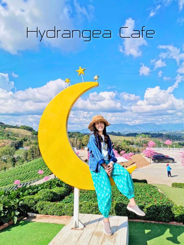 🥧 ไฮเดรนเยีย คาเฟ่ เขาค้อ
