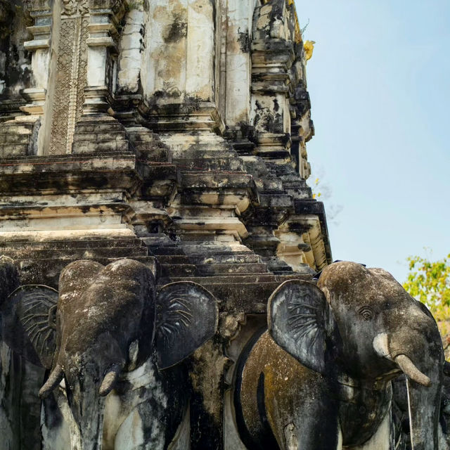 Timeless Grandeur: Exploring Wat Chedi Luang in Chiang Mai