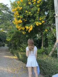 คาเฟ่เล็กๆในป่าใหญ่