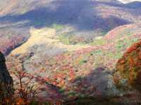【大分県】くじゅう連山でもっとも美しい紅葉！大船山
