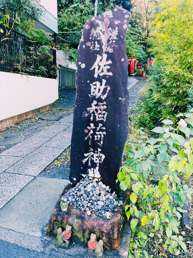 【神奈川県/鎌倉　白狐の置物がたくさん並ぶ神秘的な場所『佐助稲荷神社』】