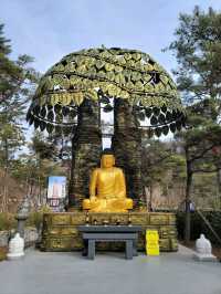 겨울 빙벽도 볼수 있는 영천 만불사🪷