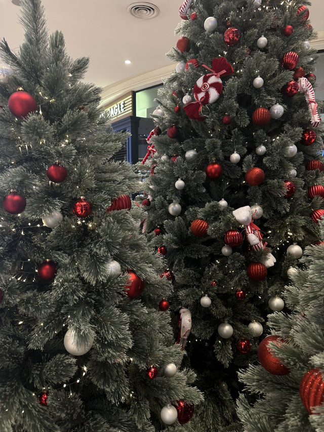 ✨🎄 𝐌𝐀𝐘𝐀 𝐂𝐇𝐑𝐈𝐒𝐓𝐌𝐀𝐒  🌲✨