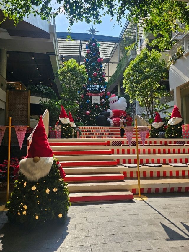 ถ่ายรูปสวยๆ ต้นไม้คริสมาส