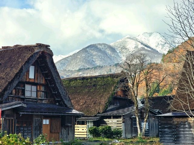 走進童話世界 - 秋天の白川鄉合掌村