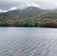 箱根推薦景點｜建於水中的平和鳥居