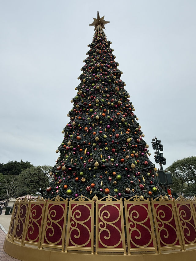 香港迪士尼樂園🫶🏻每年聖誕🎄必到😬超夢幻打卡裝飾🥰少女心大爆發