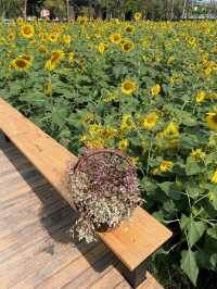 ร้านชาจุดเช็คอินใหม่ริมเลียบด่วน! CHA3MA🌻