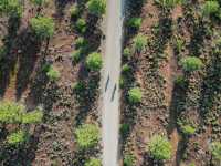 Pedaling Through Paradise: A Day Biking in Truckee, California