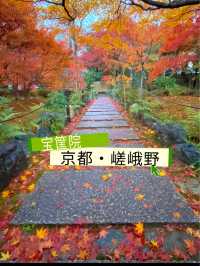 京都紅葉🍁嵯峨野の紅葉の名所🍁宝筐院🥰
