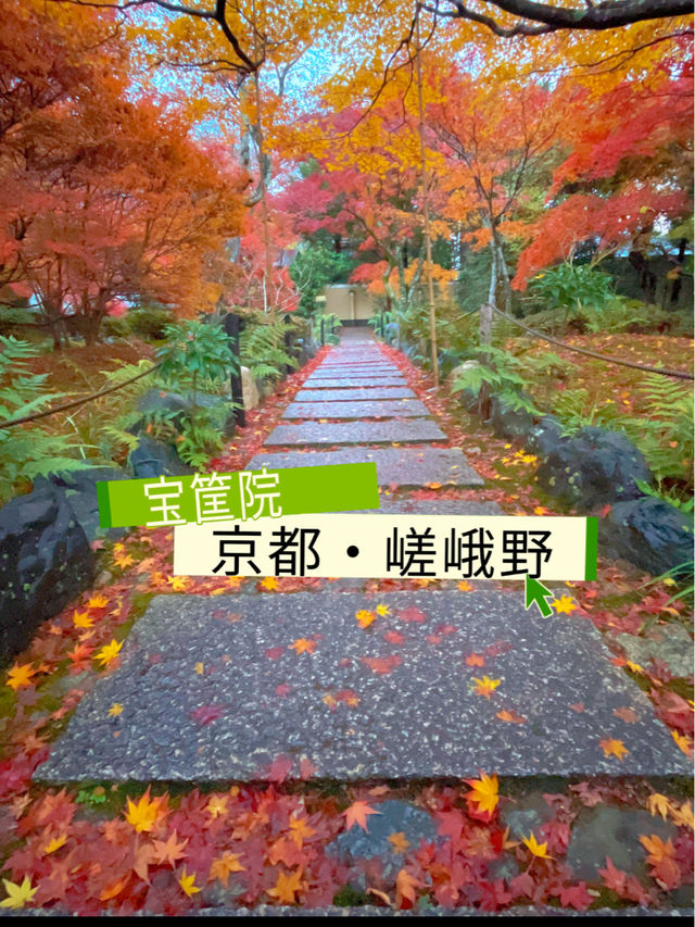 京都紅葉🍁嵯峨野の紅葉の名所🍁宝筐院🥰